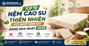 Nệm Cao Su Thiên Nhiên Tốt Nhất 2026 | Đệ Nhất Nệm