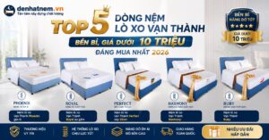 Top 5 Dòng Nệm Lò Xo Vạn Thành Bền Bỉ, Giá Dưới 10 Triệu Đáng Mua Nhất 2026