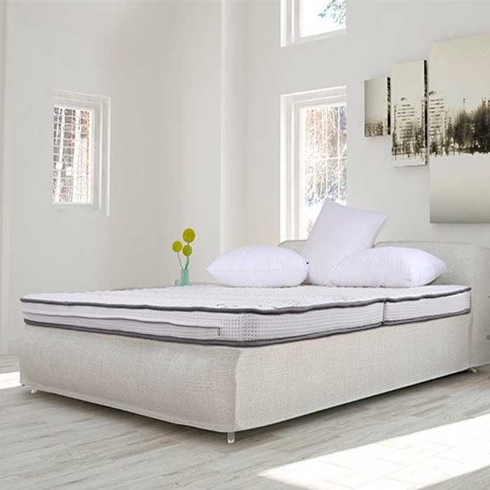 Sản phẩm giúp người dùng tránh được các tác nhân gây bệnh nấm mốc dị ứng