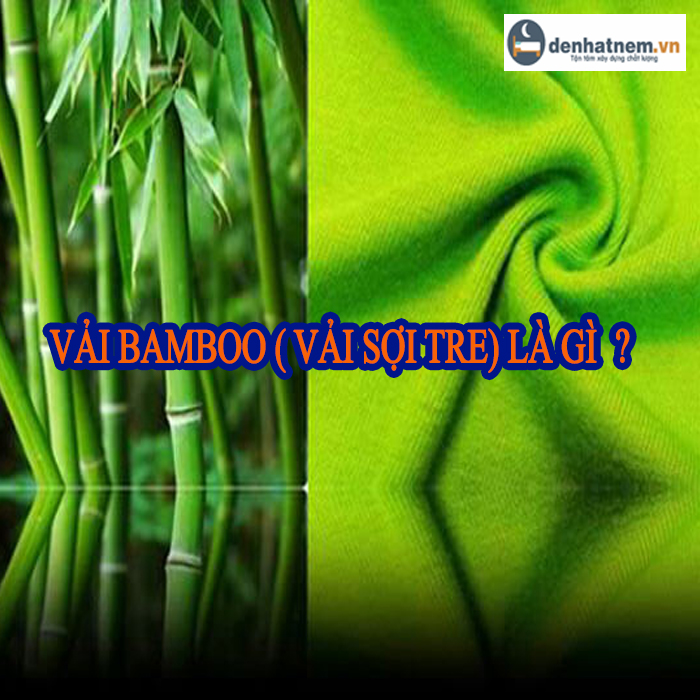 Vải Bamboo là gì? Đặc tính và công dụng của chúng