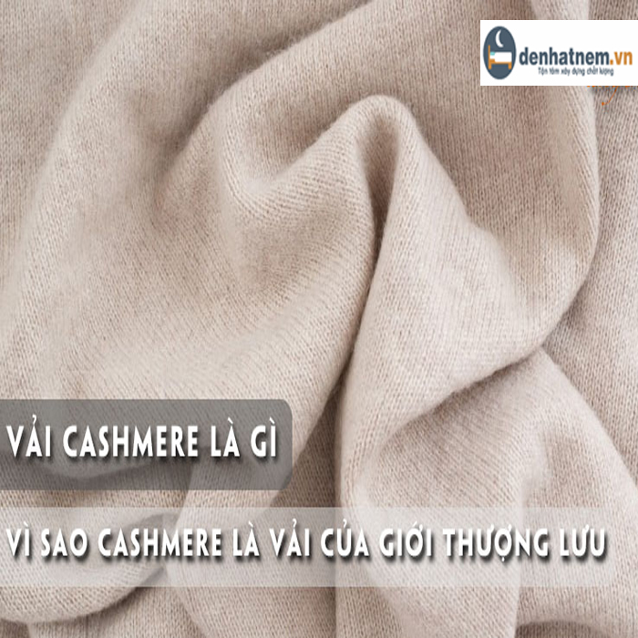 Vì sao vải Cashmere là vải dành cho giới thượng lưu?