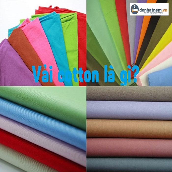 Vải Cotton là gì? Đặc tính của chất liệu vải này!